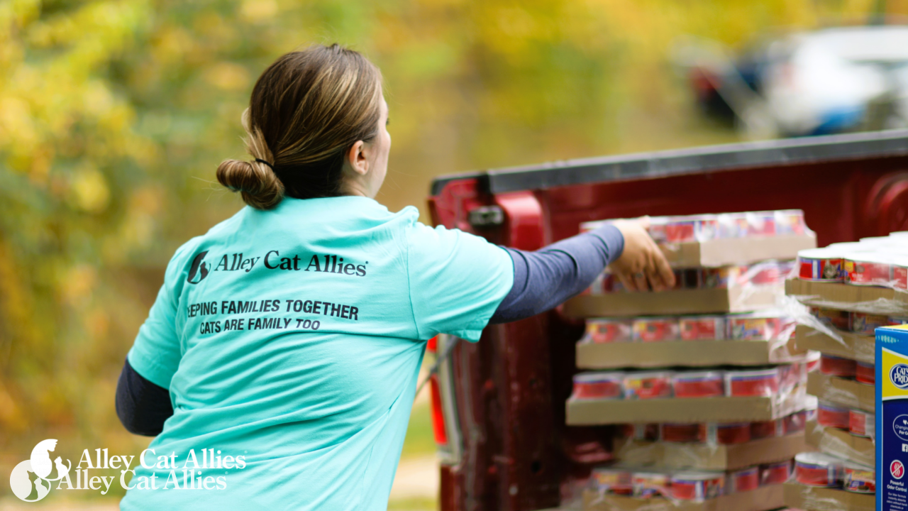 Alley Cat Allies to Provide Food, Vaccines, and TNR in Des Moines, Iowa