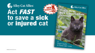 Information about new resource from Alley Cat Allies, available at alleycat.org/Shop