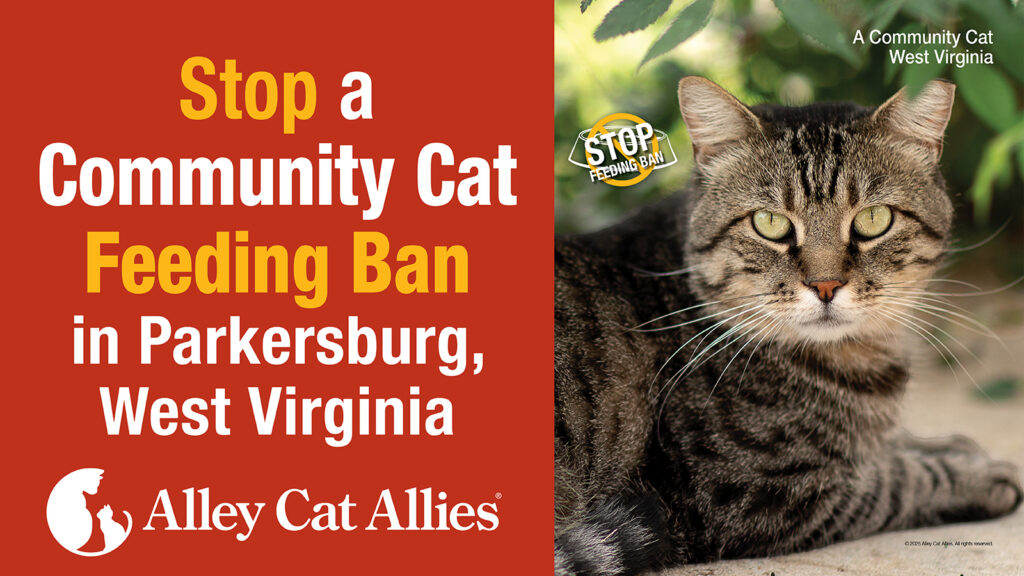 An urgent message to take action against a community cat feeding ban in Parkersburg, West Virginia