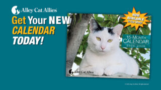 Alley Cat Allies' 2025-2026 Calendar