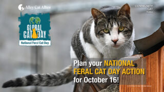 A reminder to plan a National Feral Cat Day action for October 16