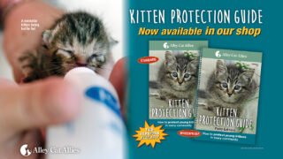 NEW RESOURCE: Alley Cat Allies Kitten Protection Guide