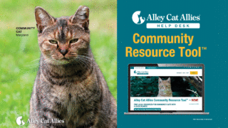  Access the Alley Cat Allies Community Resource Tool™ 
