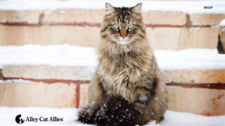 Donate today for 4x-match