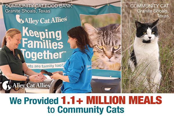 We Provided 1.1+ Million Meals to Community Cats