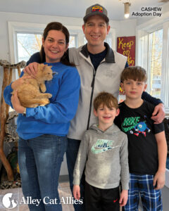 As Spring Begins, Meet Cats and Kittens You Helped Blossom