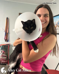 From the Field in Hawaii: Stories of Cats Saved from the Floods