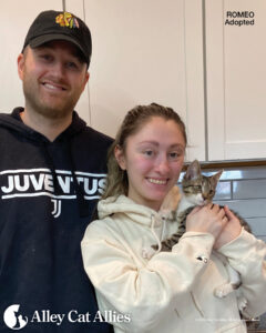 As Spring Begins, Meet Cats and Kittens You Helped Blossom