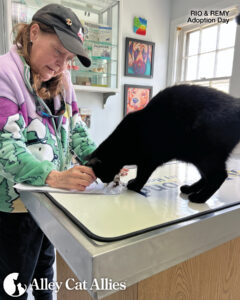 Meet Cats and Kittens Whose Lives You Changed (for the Best!)