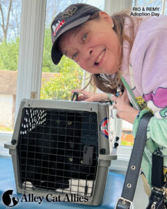 Meet Cats and Kittens Whose Lives You Changed (for the Best!)