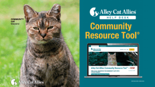  Access the Alley Cat Allies Community Resource Tool<sup>®</sup> 
