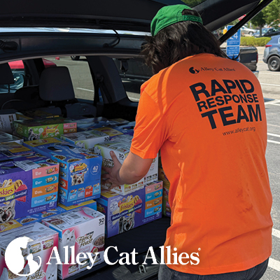 Extreme Heat Wave Response: Alley Cat Allies Provides Critical Wet Food to Help Cats