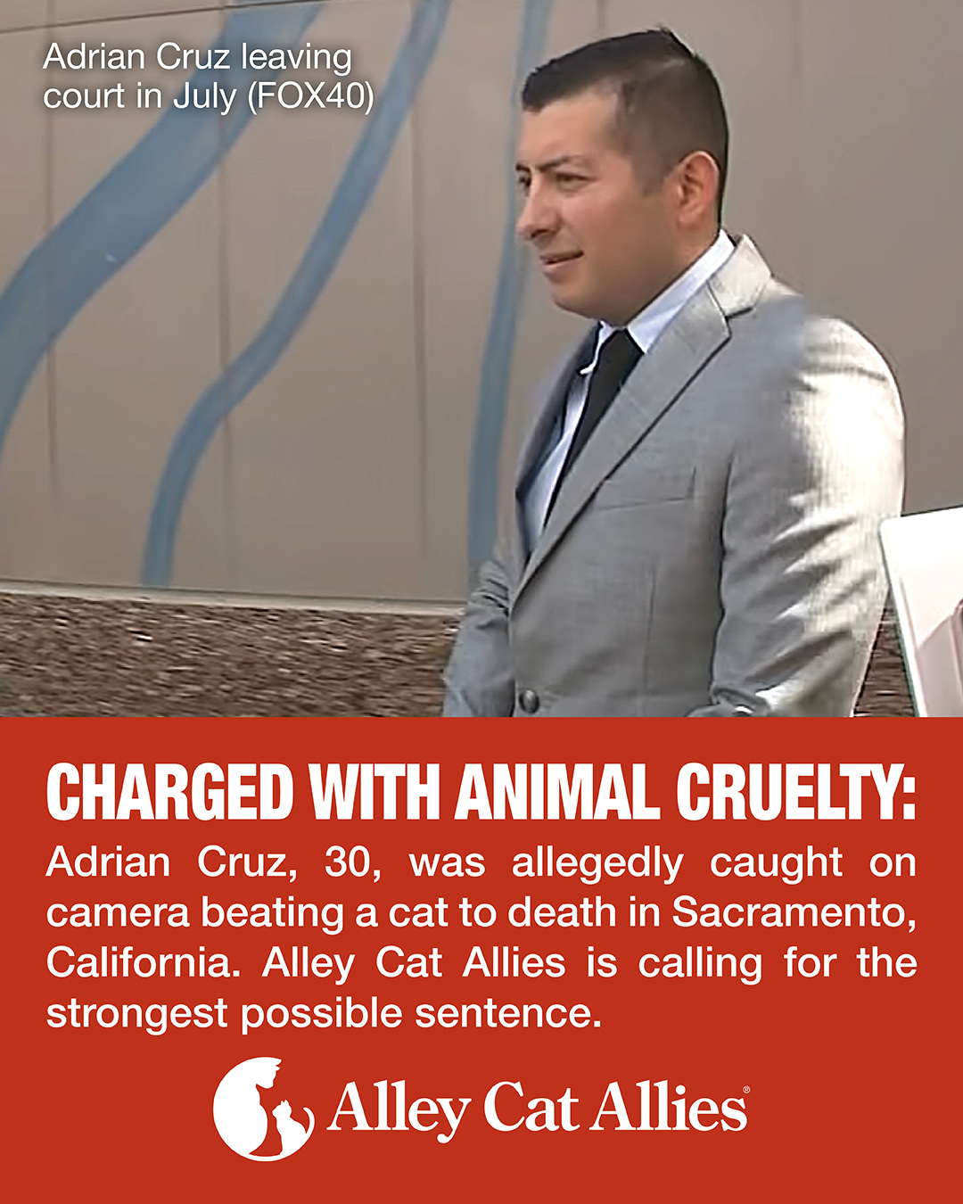 Alley Cat Allies Offers Support for the Prosecution of Sacramento Animal Cruelty Suspect