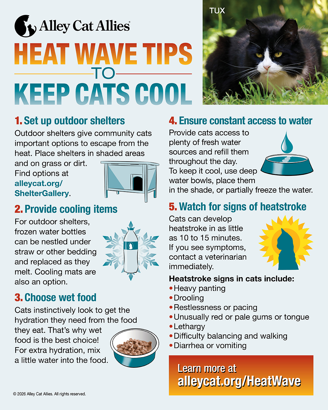 Heatwave Tips