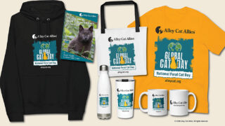 Shop Global Cat Day Items