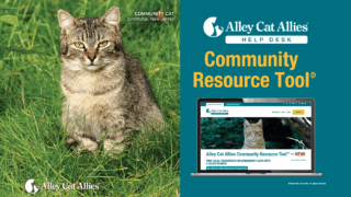  Access the Alley Cat Allies Community Resource Tool<sup>®</sup> 